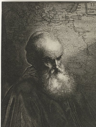 Ritratto di un vecchio con barba da Salomon Savery