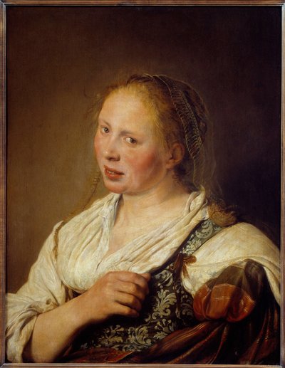 Ritratto di un giovane contadino fiammingo da Salomon de Bray
