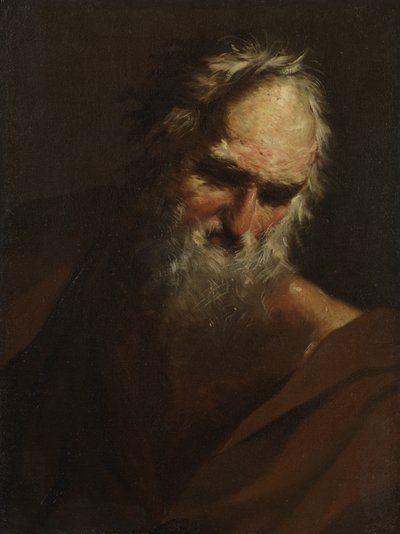 Testa di un uomo barbuto, c.1640-80 da Salvator Rosa