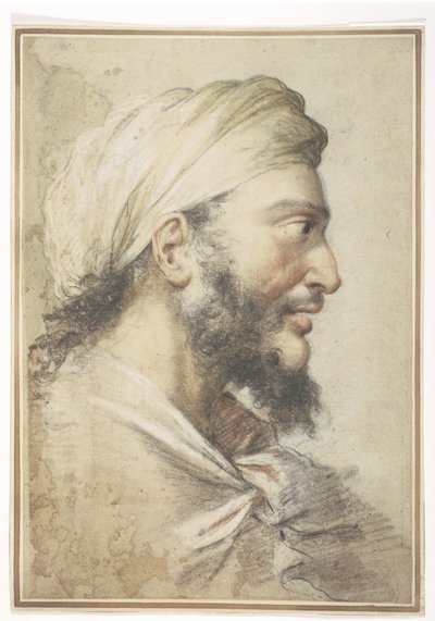 Testa di un uomo barbuto di profilo a destra con un turbante da Salvator Rosa