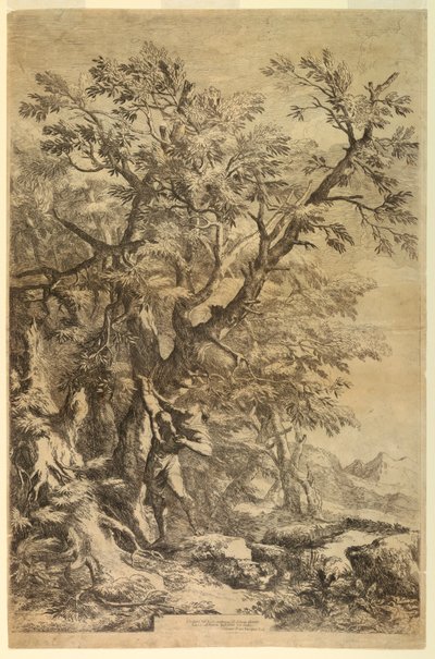 Edipo esposto sul Monte Cithaeron da Salvator Rosa