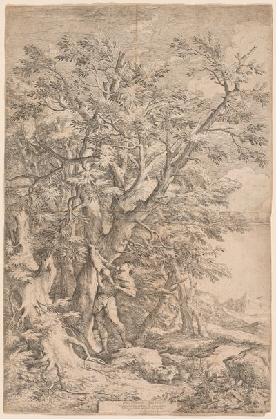 Il Salvataggio dell