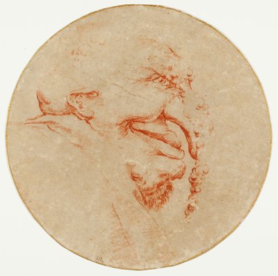 Senza titolo (Caricatura) da Salvator Rosa