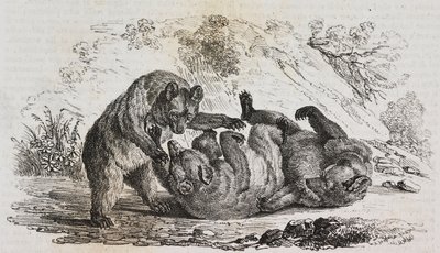 Orsi delle Asturie, Spagna, litografia di Salvatore Puglia da Poliorama Pittoresco, n 9, 7 ottobre da Salvatore Puglia