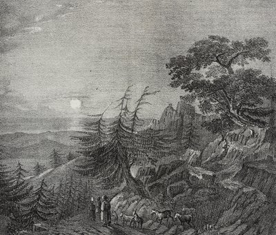 Paesaggio della foresta di Cedri sul Monte Libano, vicino a Beirut, Libano, litografia di Salvatore Puglia da Poliorama Pittoresco, n.11, 22 ottobre da Salvatore Puglia