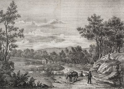 Sorgenti di acqua minerale nella foresta di Acerra, Campania, Italia, litografia di Salvatore Puglia da Poliorama Pittoresco, n 5, 7 settembre da Salvatore Puglia