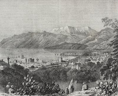 Veduta di Beirut e della catena del Monte Libano, Libano, da Poliorama Pittoresco, n. 8, 1 ottobre da Salvatore Puglia