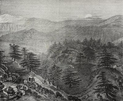 Vista del Monte Libano con i suoi famosi cedri, Libano, da Poliorama Pittoresco, n. 10, 15 ottobre da Salvatore Puglia