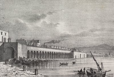 Veduta della ferrovia a Torre Annunziata, Campania, Italia, litografia di Gaetano Riccio da Poliorama Pittoresco, n 21, 31 dicembre da Salvatore Puglia