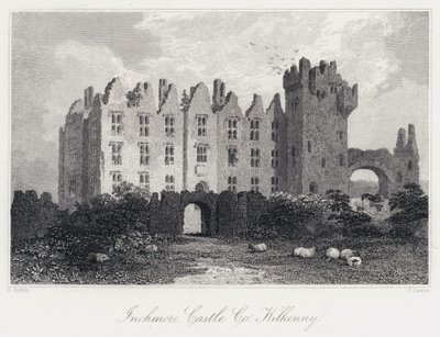 Castello di Inchmore, Co Kilkenny da Samuel (after) Austin