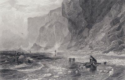 Illustrazione per Il pirata di Sir Walter Scott da Samuel (after) Bough