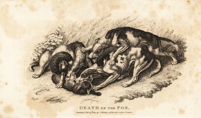 Morte della volpe da Samuel (after) Howitt