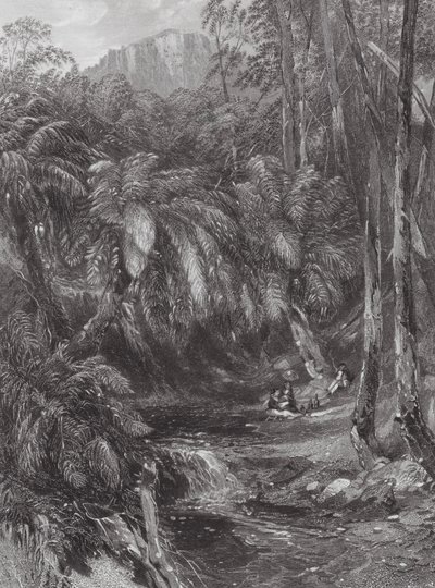 Australia: Una valle di felci da Samuel (after) Prout