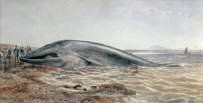 La balena di Aberlady, Longriddy Bay da Samuel Bough