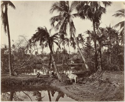 Scena rustica e vita di villaggio in Bengala da Samuel Bourne (signed by artist)