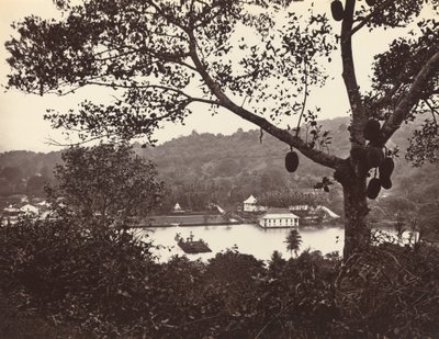 Uno sguardo da Upper Lake Road che mostra il tempio e l