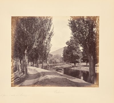  da Samuel Bourne