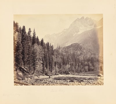  da Samuel Bourne
