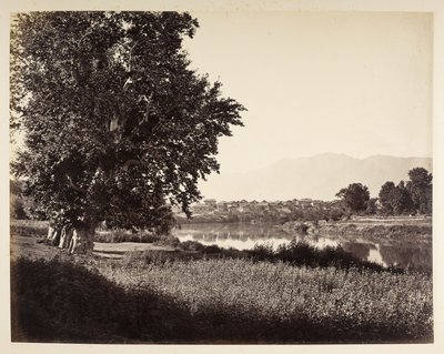 Bij Bihara sul Jhelum da Samuel Bourne