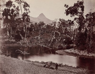 Vedute di Ceylon al Dente d