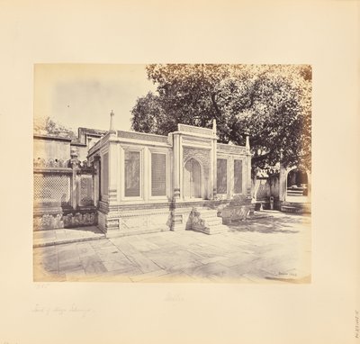 Delhi; la tomba di Mirza Jehangir. È un esempio di splendida scultura in marmo da Samuel Bourne