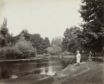 Canale Dhul sotto Chunar Bagh, Kashmir, c. 1865 da Samuel Bourne