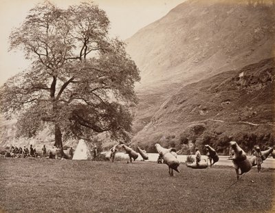 Mussucks per attraversare il fiume Beas sotto Bajoura, 1866 da Samuel Bourne