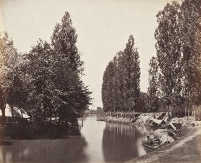 Fiume con alberi (India) da Samuel Bourne