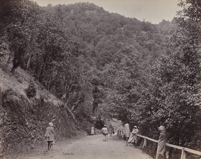Shimla. Il Mall o la strada principale da Samuel Bourne