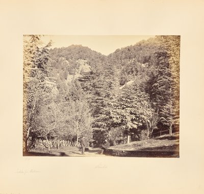 Simla; Jakko, da "Oakover" (vista generale dalla Tonga Road) da Samuel Bourne
