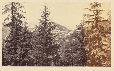 Simla; La chiesa attraverso gli alberi, di Jakko da Samuel Bourne