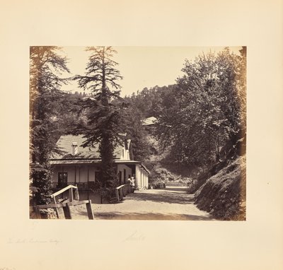 Simla; The Mall, Combermere Ridge da Samuel Bourne