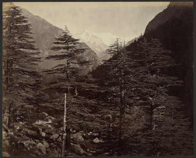 Cime innevate vicino a Gangotri, da Bhairamghati da Samuel Bourne