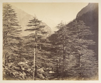 Picchi innevati vicino a Gangootri da Bhairamghati da Samuel Bourne