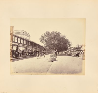 Il Chandni-Chouk, la via principale di Delhi da Samuel Bourne