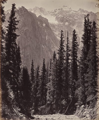  da Samuel Bourne