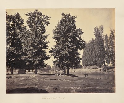 Vista sul canale di Dhul da Samuel Bourne