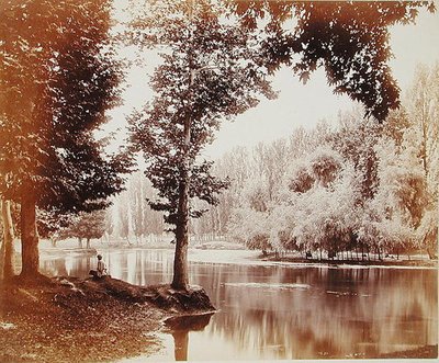 Vista sul canale Dhul, Kashmir, c.1865 (foto seppia) da Samuel Bourne