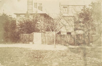 Albero nel Cortile da Samuel Buckle