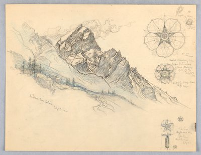 Antelao, da Cortina, con studi di fiori da Samuel Colman