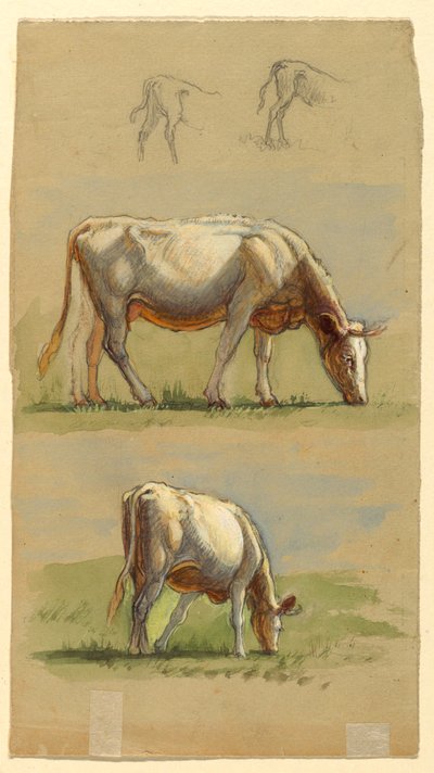 Bovini, due mucche al pascolo e i dorsi dei vitelli da Samuel Colman