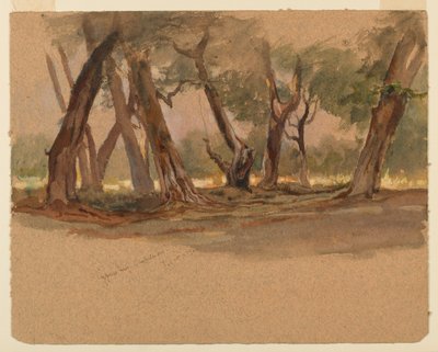Alberi di cipresso, Chapultepec, Messico da Samuel Colman