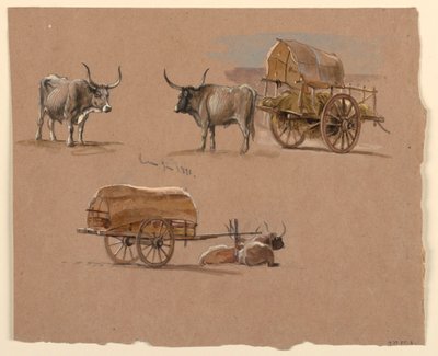 Disegno, carri da buoi, Roma, Italia, gennaio 1873 da Samuel Colman