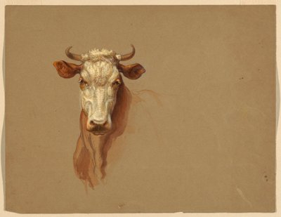 Disegno, Due studi.  Bestiame, 1876 da Samuel Colman