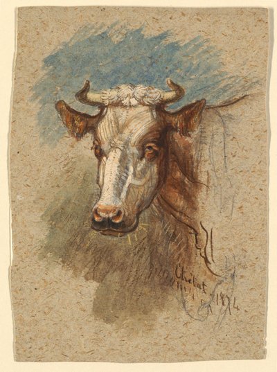 Testa di una mucca, Étretat da Samuel Colman