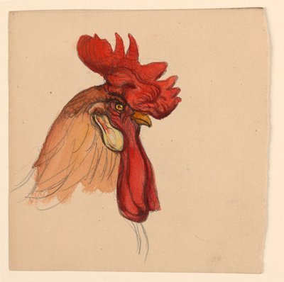 Testa di un gallo da Samuel Colman