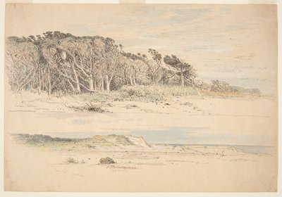 Sea Girt, New Jersey da Samuel Colman