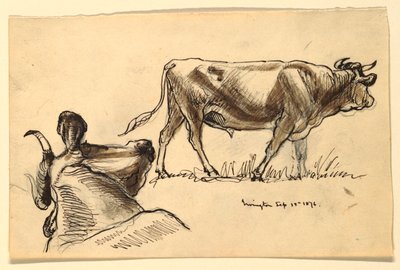 Schizzi di bestiame, Irvington da Samuel Colman