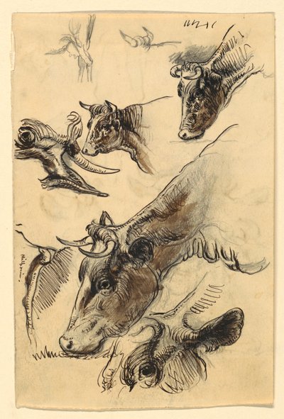 Schizzi di bestiame, Irvington da Samuel Colman