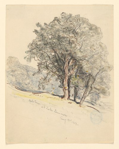 Studio di Querce al Lago Dunmore, Vermont da Samuel Colman